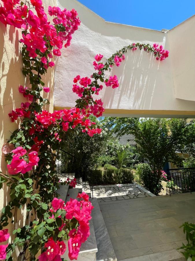 Sunflower Apartments & Studios Kassiopi Dış mekan fotoğraf